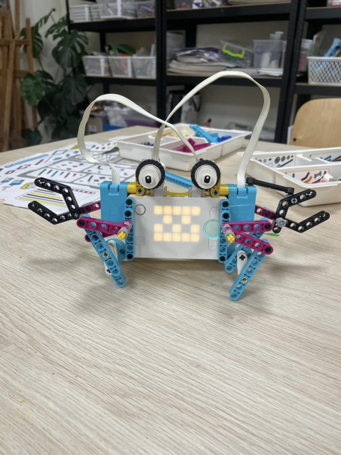robotyka