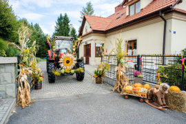 Zdjęcie 9