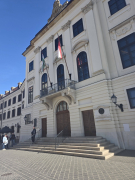 Zdjęcie 10